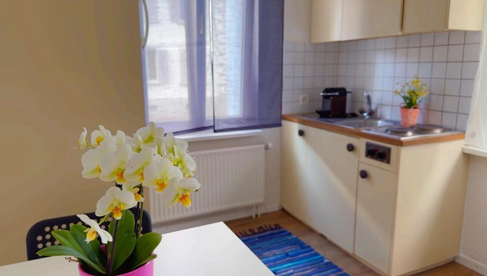 Appartamento Grandhouse Center Of Switzerland Olten Esterno foto