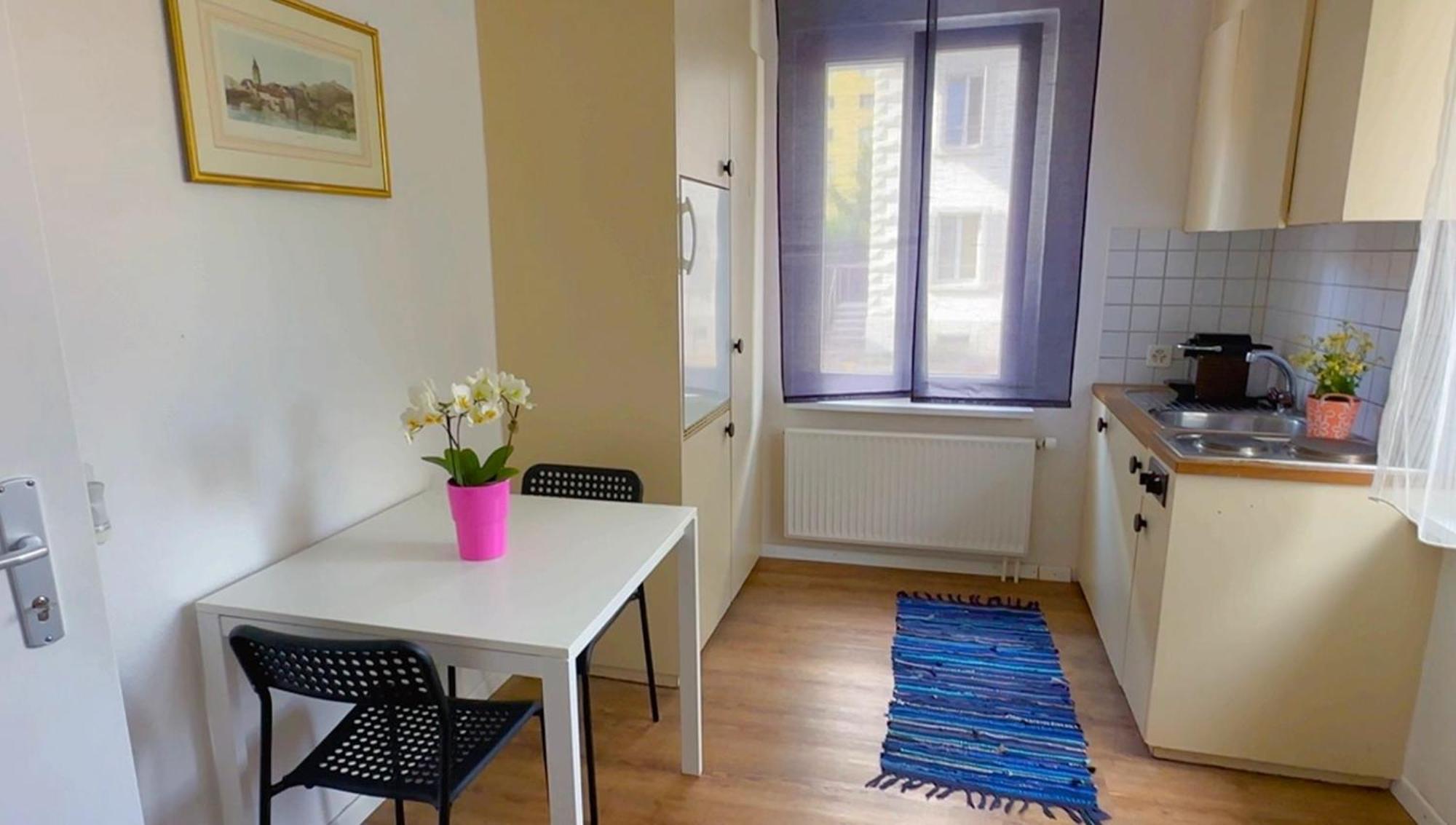 Appartamento Grandhouse Center Of Switzerland Olten Esterno foto
